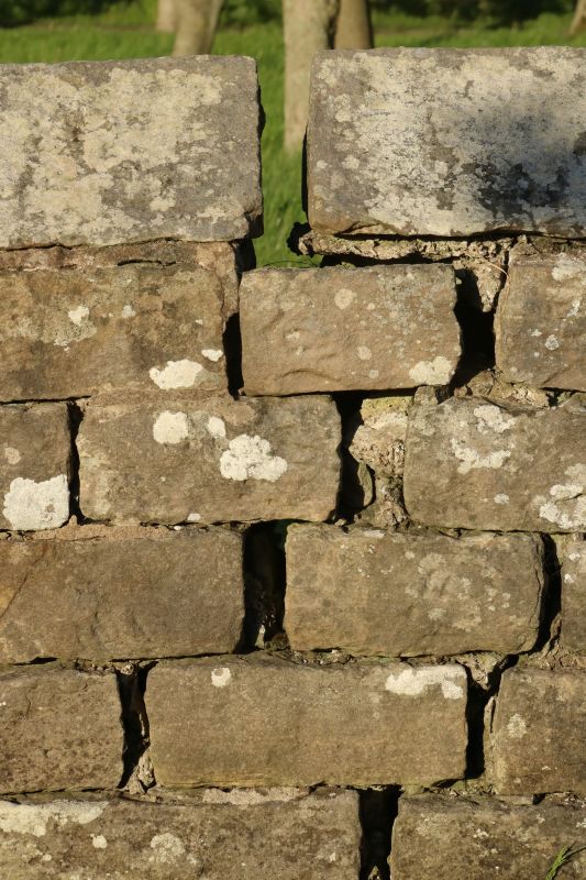 Stone Column Repair in Loganville, GA